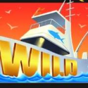 4 Fantastic Fish: Wild