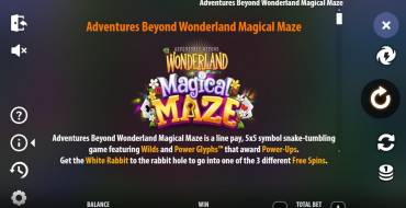 Adventures Beyond Wonderland Magical Maze: Таблица выплат