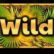 African Drum: Wild