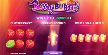 Berry Burst: Возможности