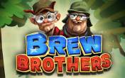 Автомат Brew Brothers (демо-версия)