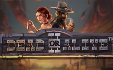 Игровой автомат Dead or Alive 2