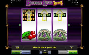 Игровой автомат Double Luck Nudge