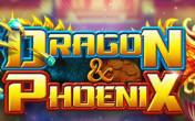 Автомат Dragon vs Phoenix (демо-версия)