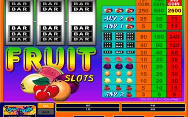 Игровой автомат Fruit Slots