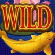 Lucky Koi: Wild