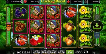 Lucky Wood: Выигрыши