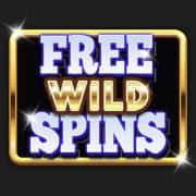 Maxiplier: Free Wild Spins