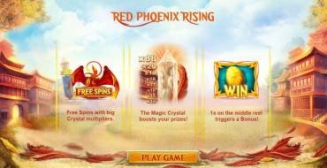 Red Phoenix Rising: Тематика