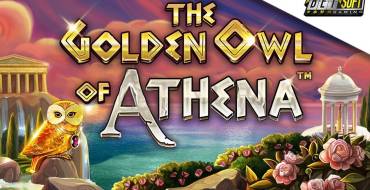 The Golden Owl of Athena: Игровой автомат