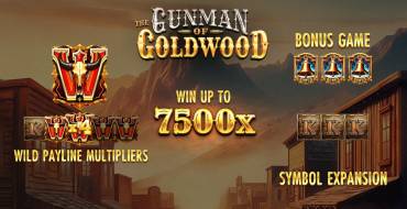 The Gunman of Goldwood: Игровой автомат