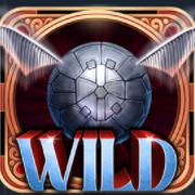 The Secret Order: Wild