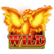 The Wild Wings of Phoenix: Wild