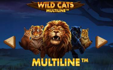 Игровой автомат Wild Cats Multiline