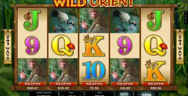 Wild Orient: Выплаты