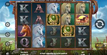 Wild Wild Horses: Игровой автомат