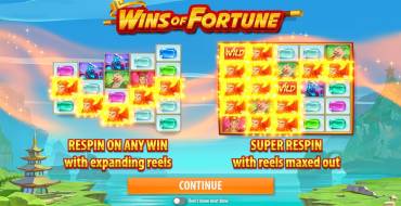 Wins of Fortune: Особенности слота