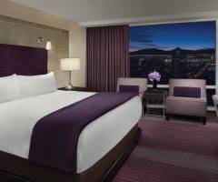 Aria Resort & Casino Las Vegas: Deluxe King Room