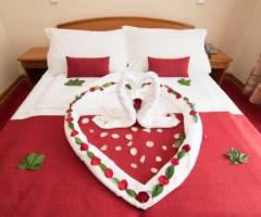 Fair Play Casino Serbia: Comfort Single Room